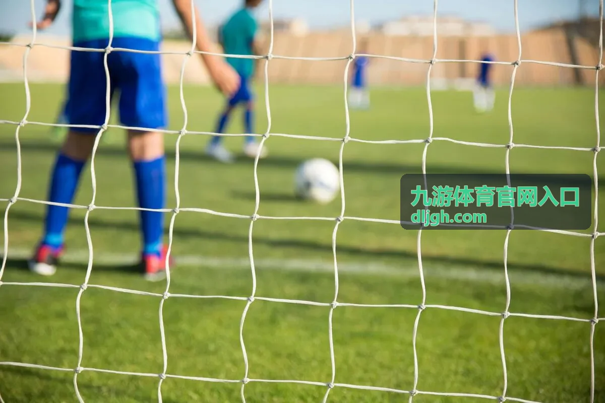 九游体育官网入口账号安全设置操作示意